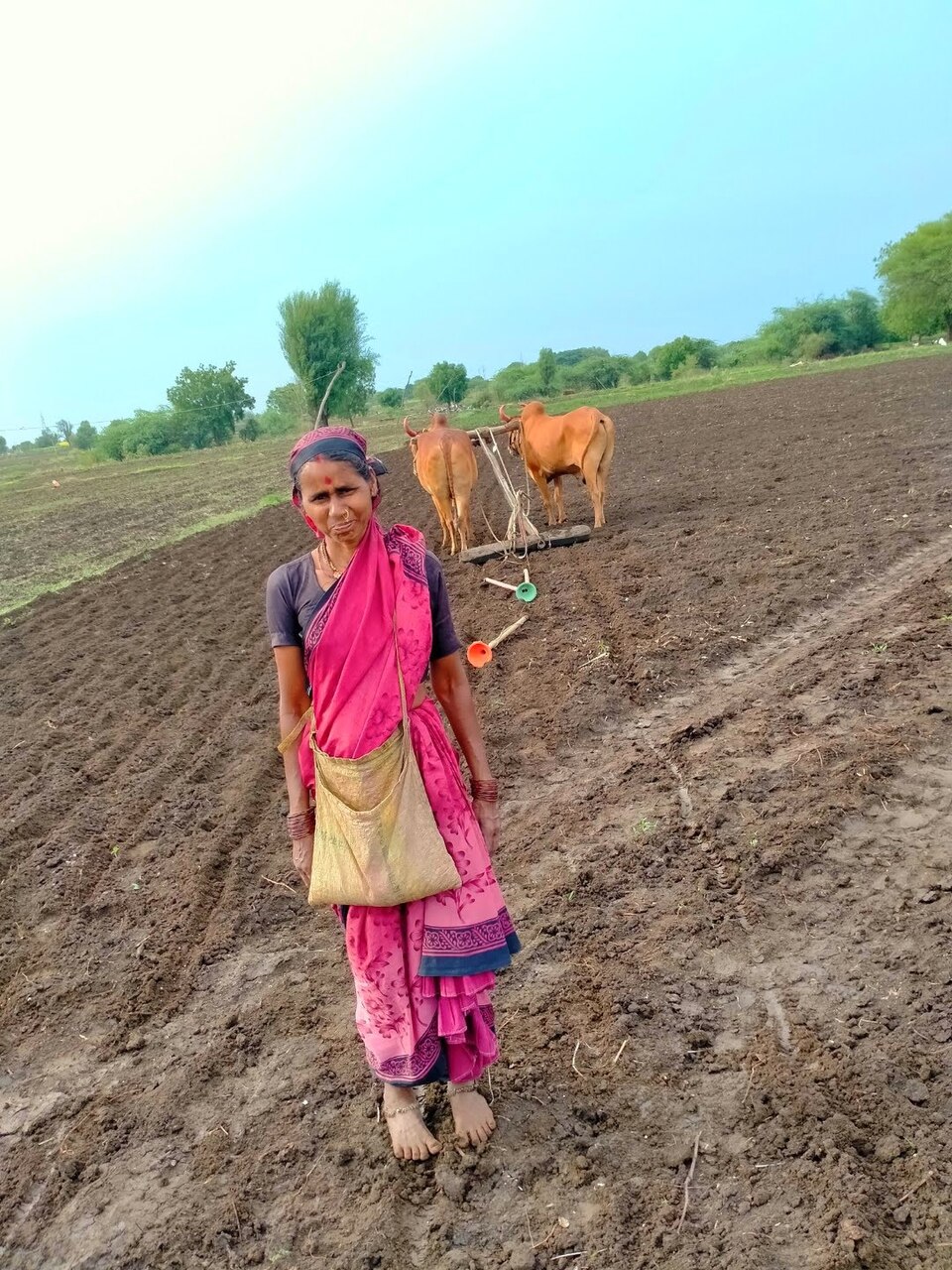 Indian woman farmer in an agricultural setting